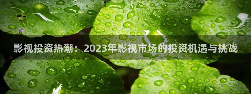 爱闪亮飘花影院：影视投资热潮：2023年影视市场的投资机遇与挑战