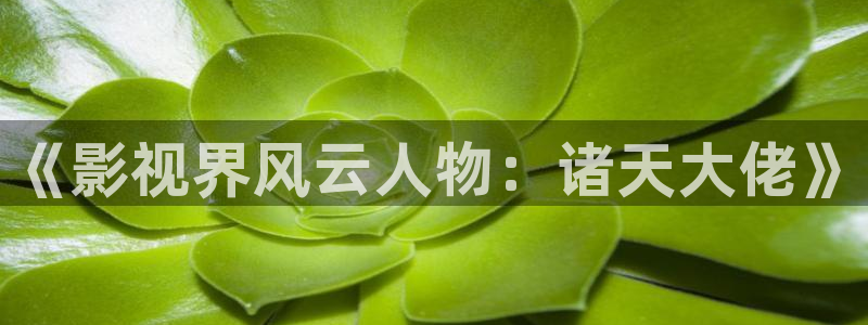 飘花影院现在搬到什么地方了：《影视界风云人物：诸天大佬》