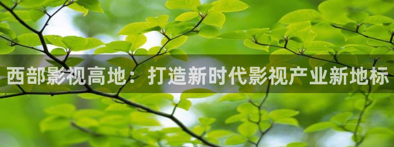 飘花影院手机版：西部影视高地：打造新时代影视产业新地标